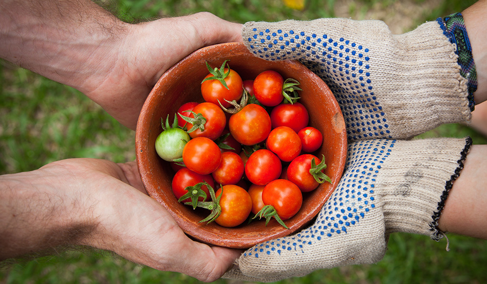 blog-24-improving-food-security-for-seasonal-workers